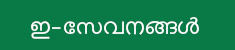 e-services